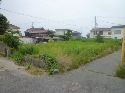 現地写真
